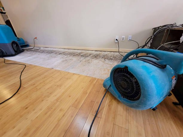 Reliable Basement Flood Cleanup contractor in Webster, TX by Hirex Water Damage