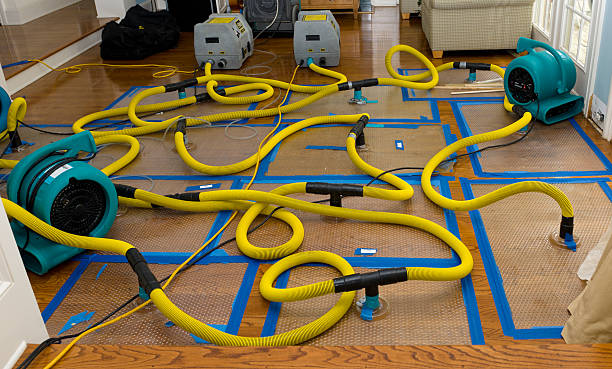 Professional Basement Flood Cleanup technician working in Webster, TX
